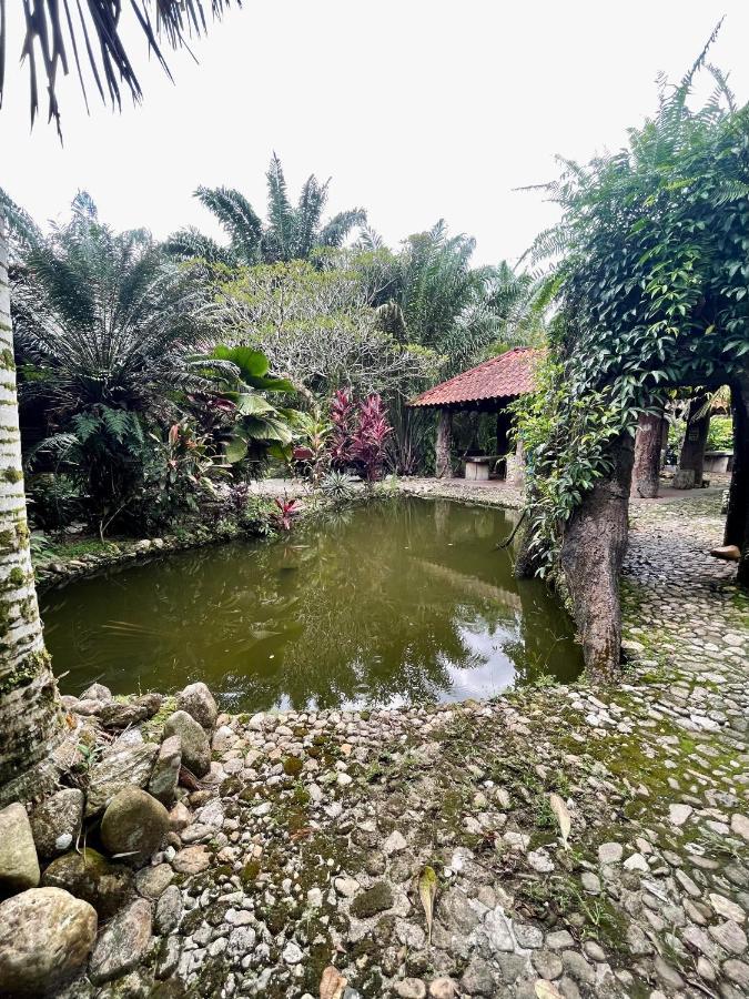 Sahom Valley Resort - Agro & Eco Park カンパー エクステリア 写真