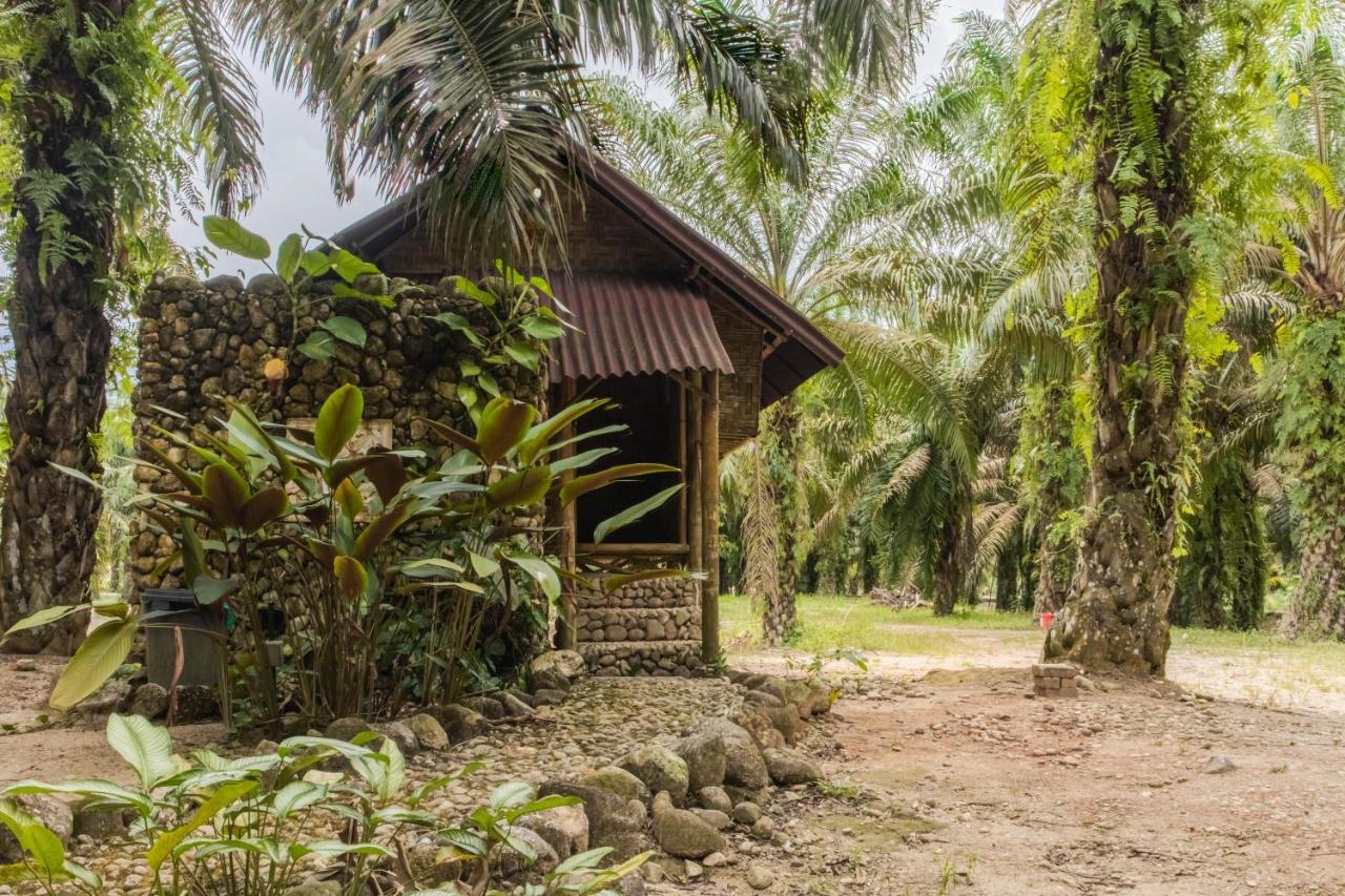 Sahom Valley Resort - Agro & Eco Park カンパー エクステリア 写真